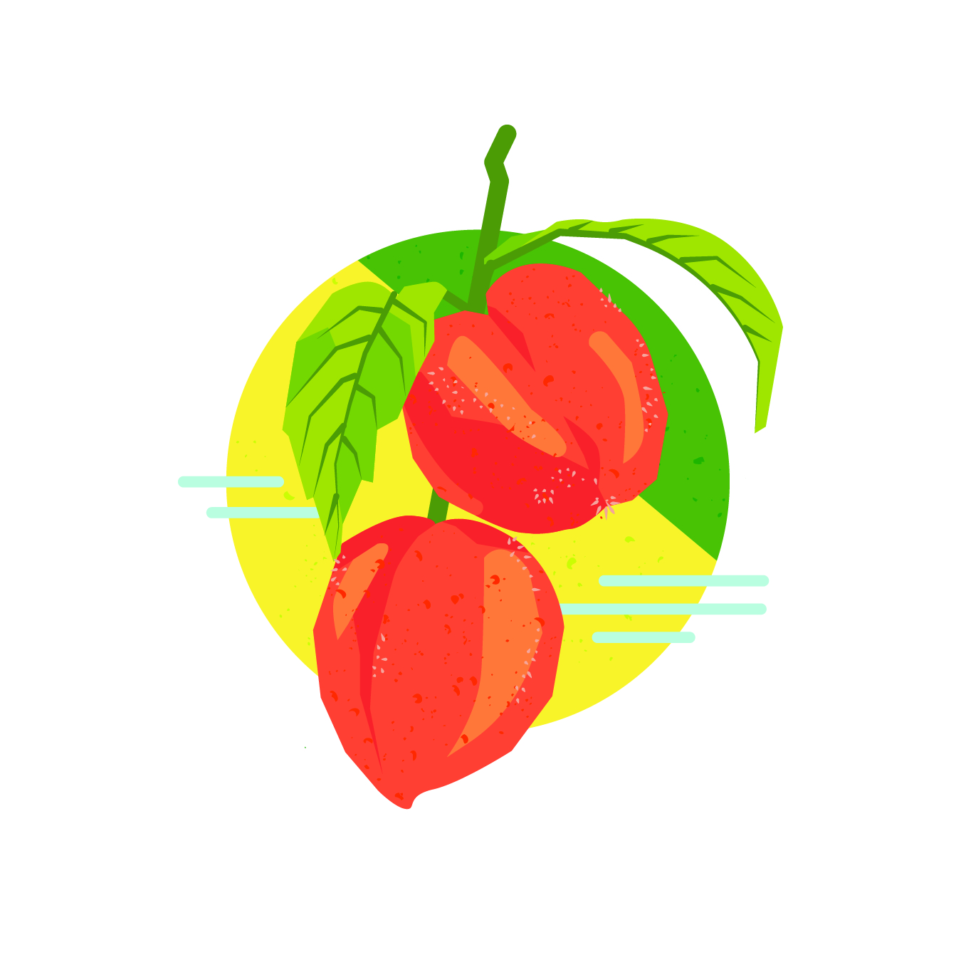 HotM_FoodIllustrations_Peaches TRANSPARENT